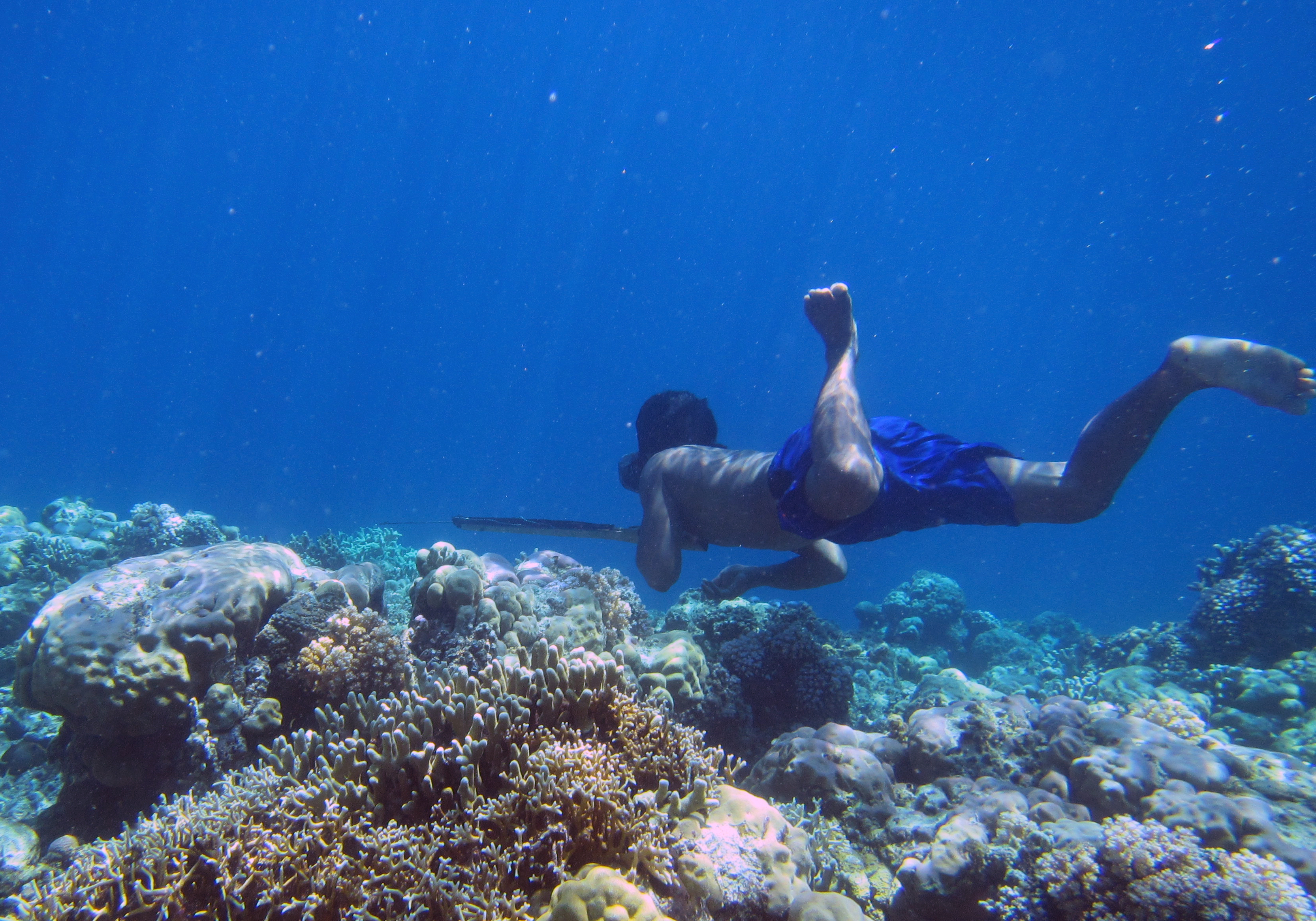 A Bajau diver hunts with a spear